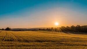 Rolling Yorkshire countryside with dry-stone walls and grazing sheep, representing the British luxury heritage of Hypnos and Harrison Spinks mattresses